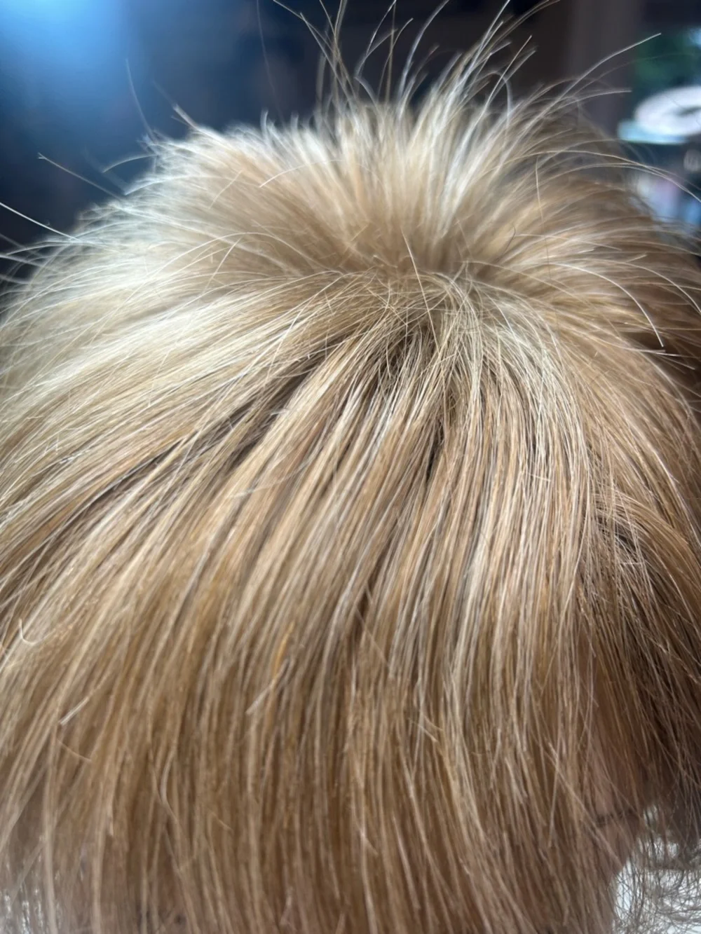 NOriko Collection “Topper” - Picture 2 of 8